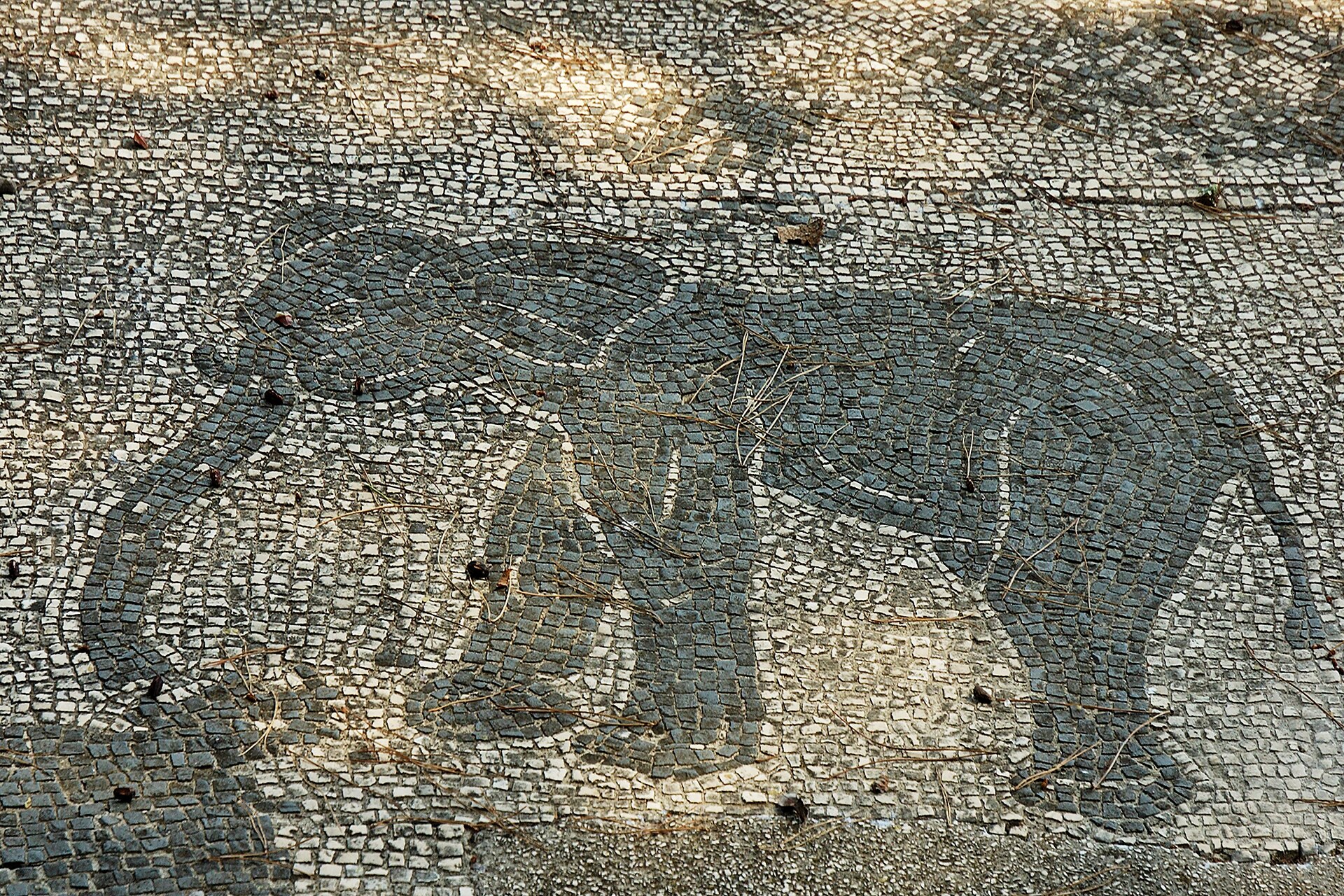 Mosaico di un elefante nel Piazzale delle Corporazioni
